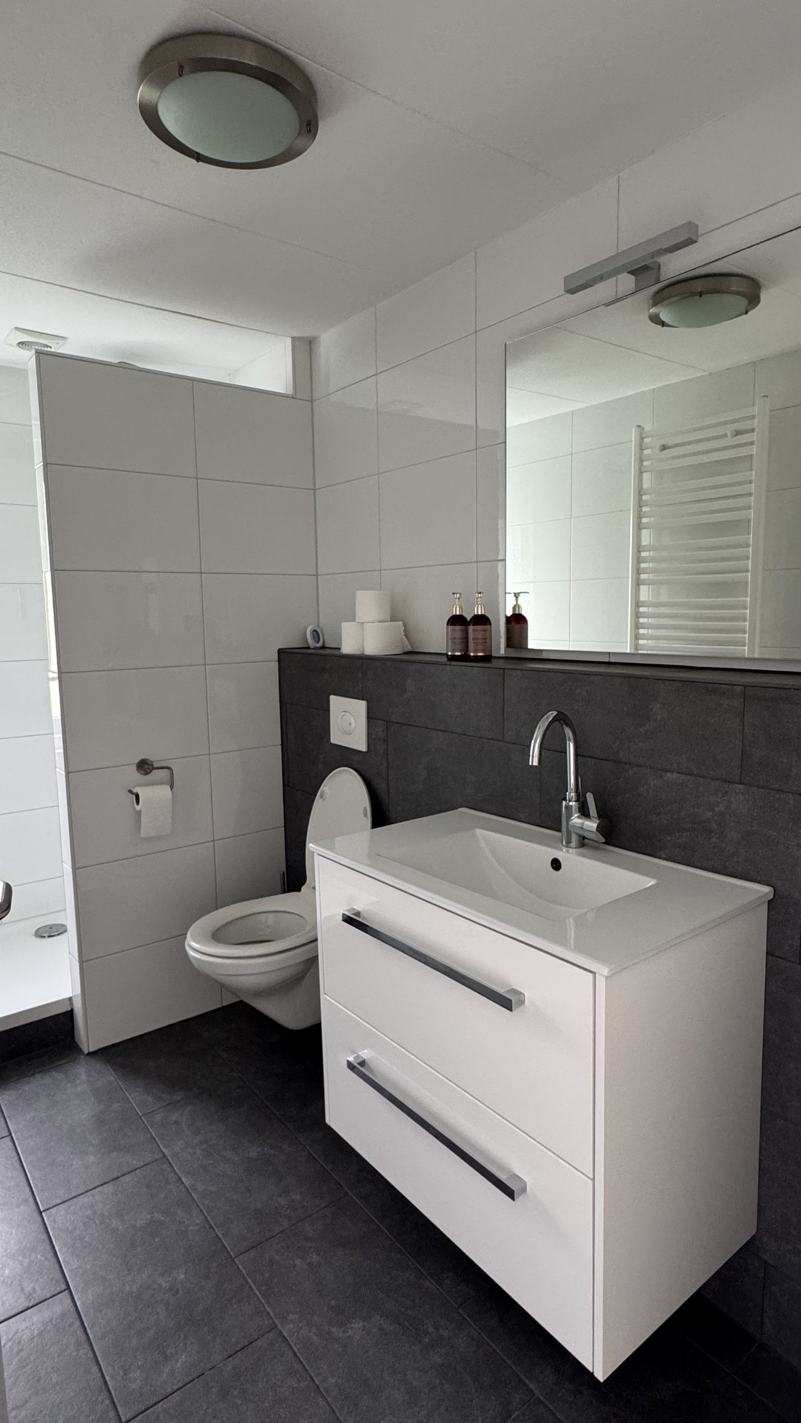 Badkamer boven met douche en wastafel