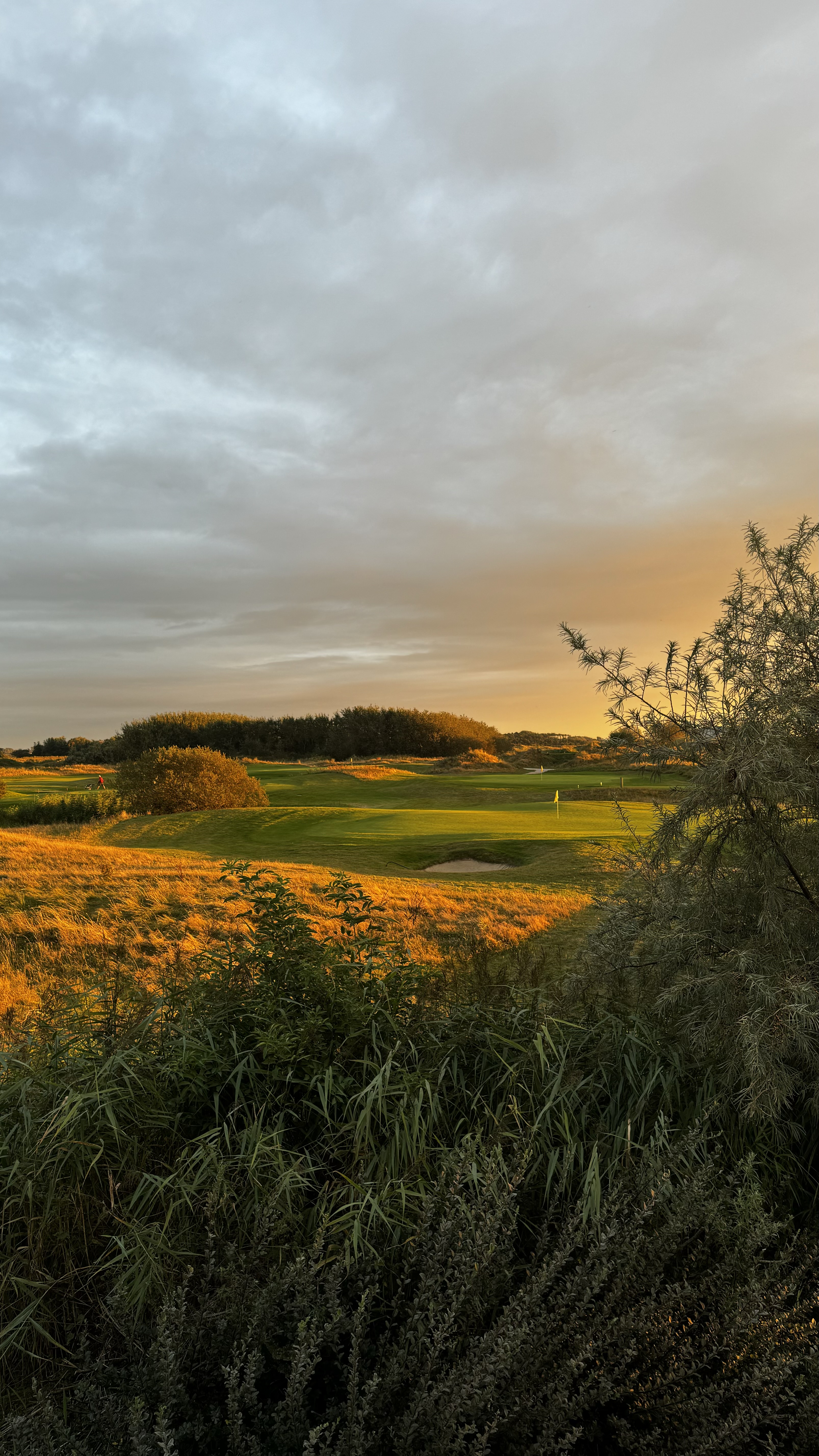 Golfbaan zonsondergang