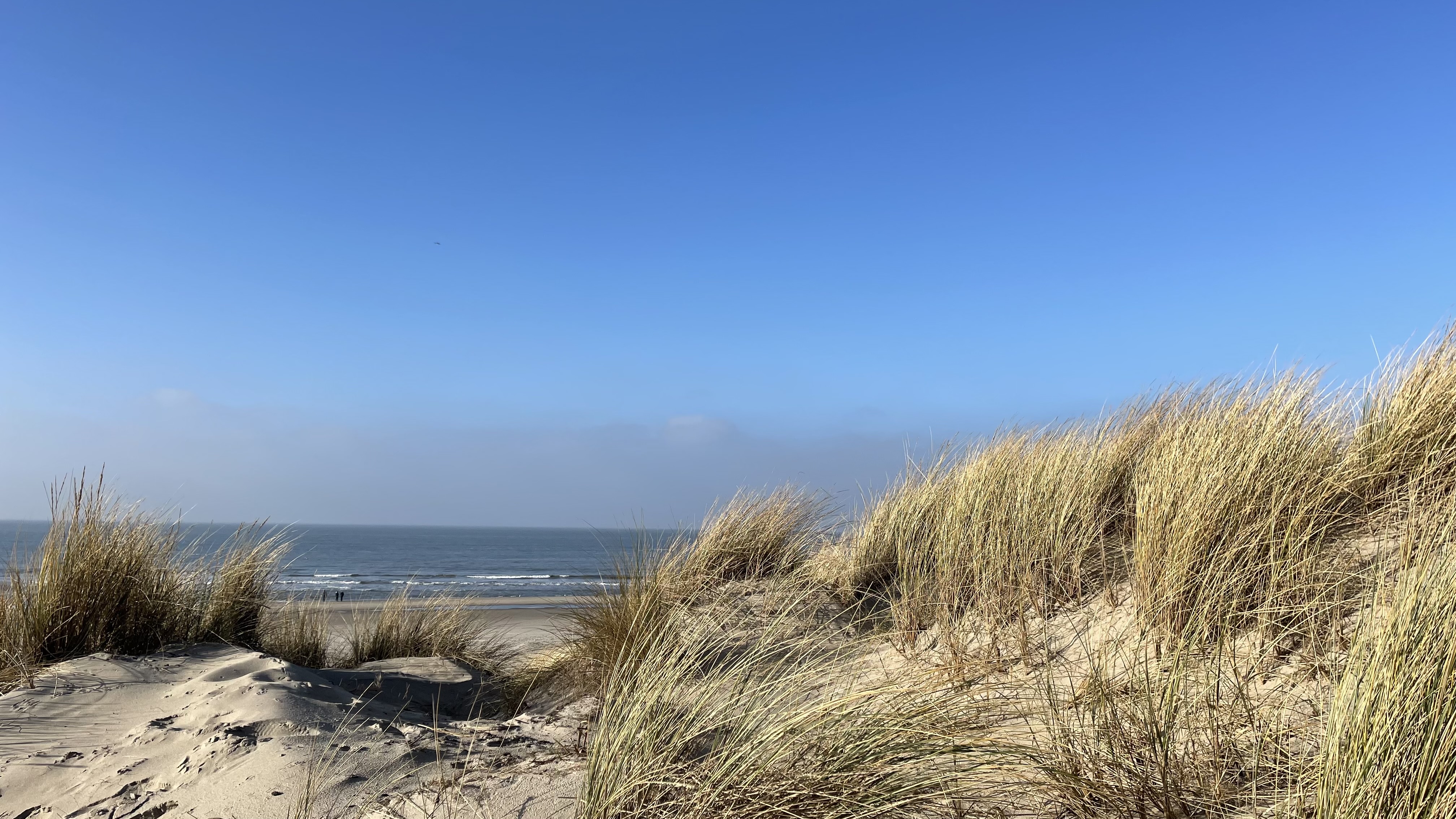 Zonsondergang met golfvlag