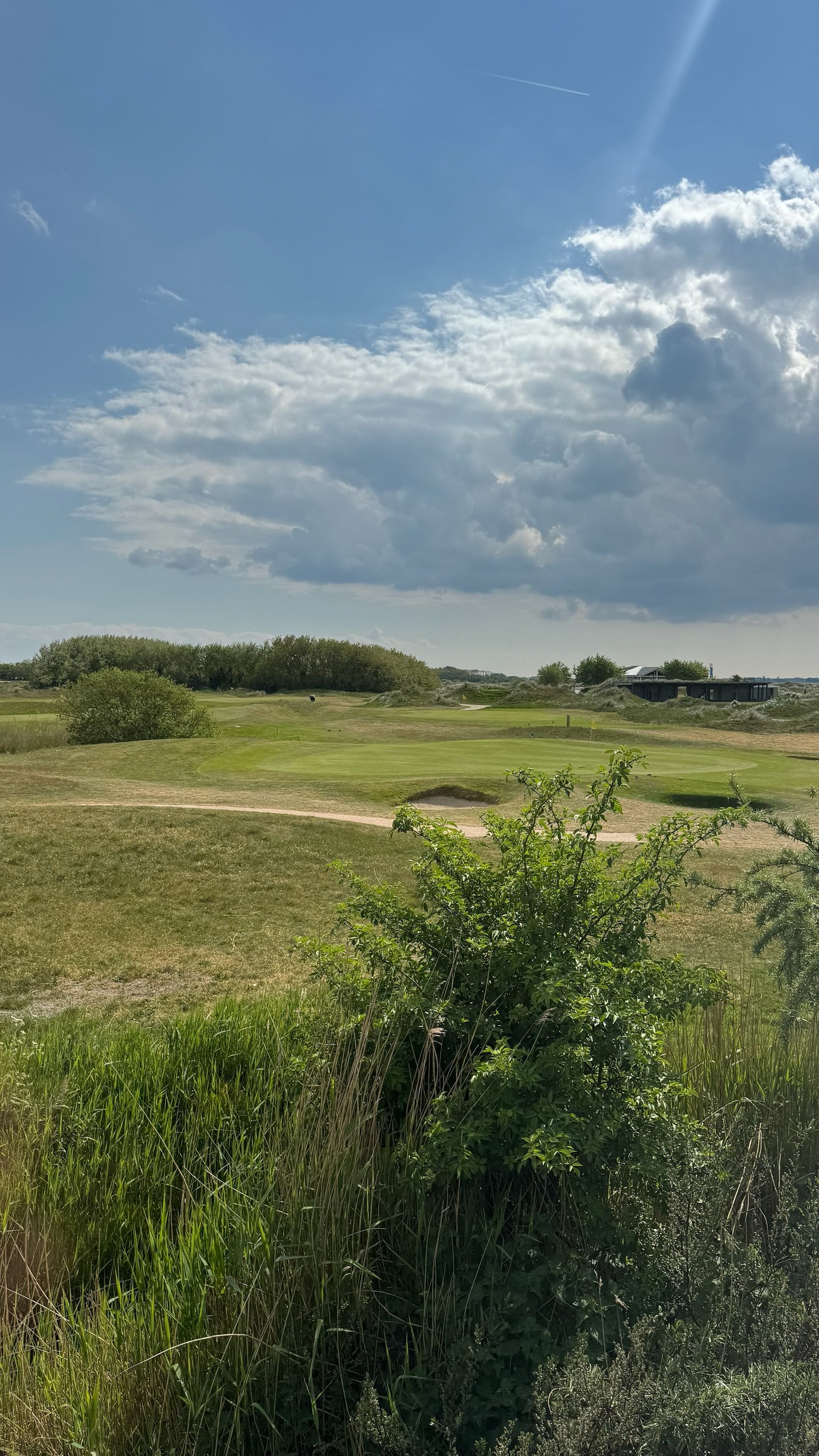 Uitzicht op een green van Golfbaan De Texelse