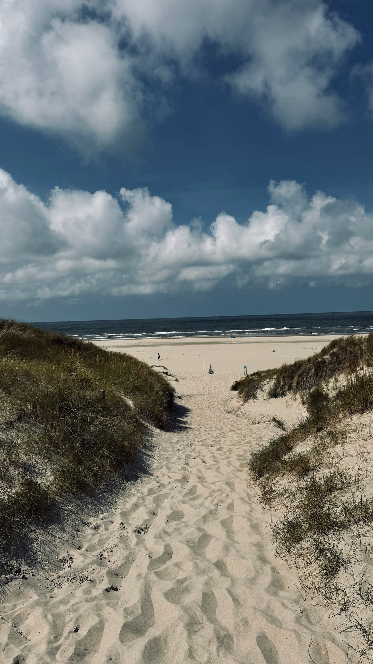 Wandeling over het strand