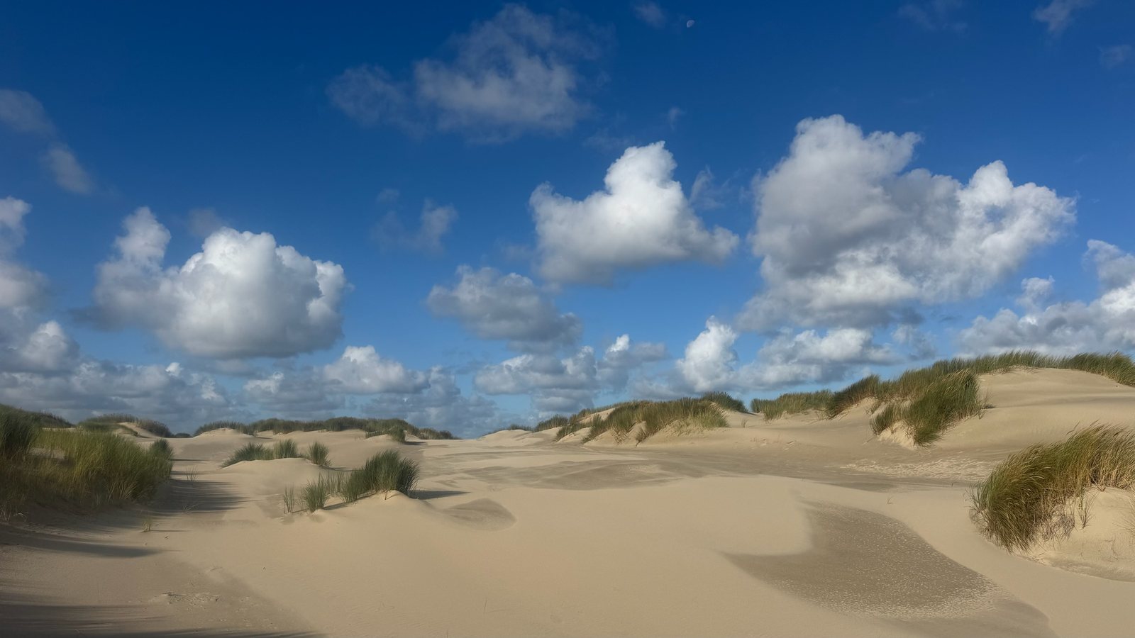 Duinen onder Texelse hemel