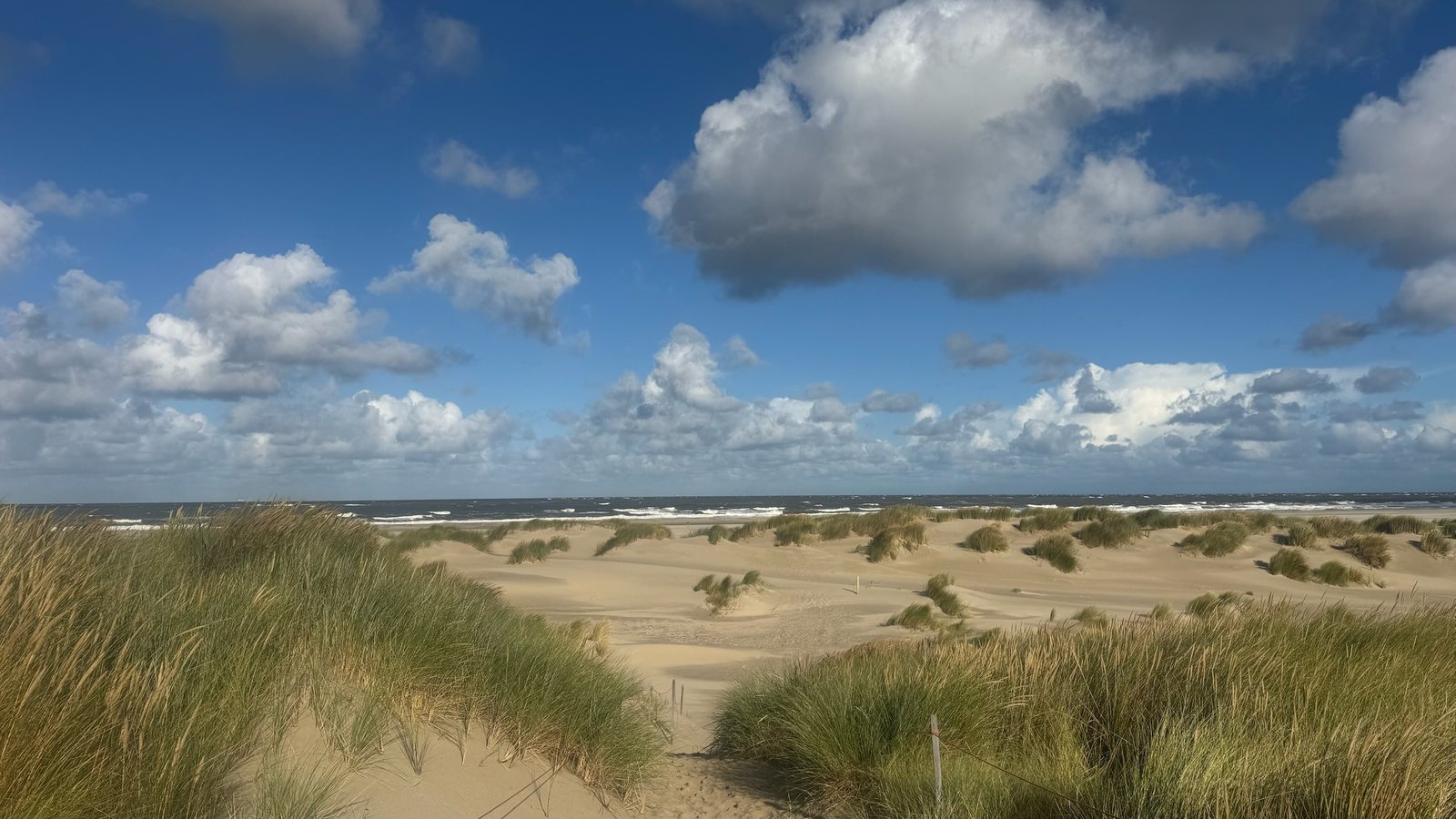 Pad door de duinen